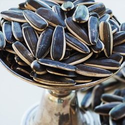 Tuzlu Siyah Çekirdek