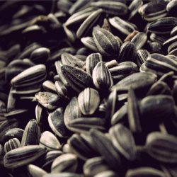 Tuzsuz Siyah Çekirdek